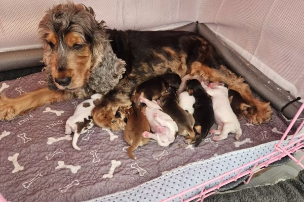 539936533_10237991106538909_766280754123785749_n